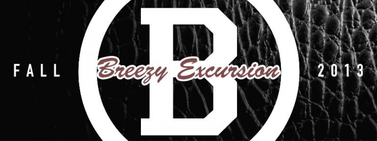 Read more about the article Introducing: Breezy Excursion [BEST]