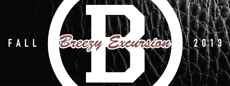 You are currently viewing Introducing: Breezy Excursion [BEST]