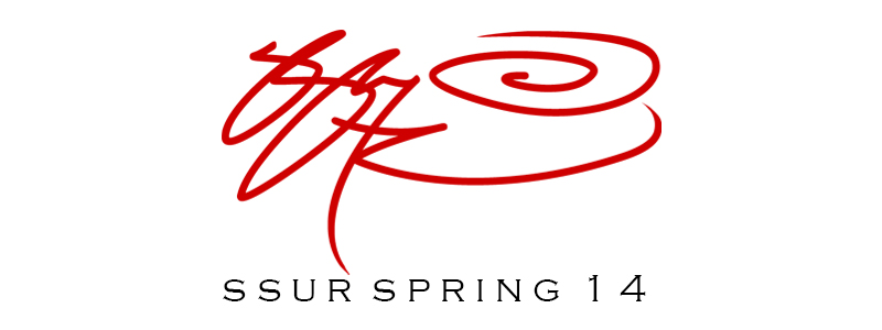 You are currently viewing SSUR Spring 2014 Collection [Photo Set]