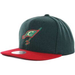 Mitchell & Ness Cleveland Cavaliers Brushed Wool Snapback Hat, Hunter Green/Red