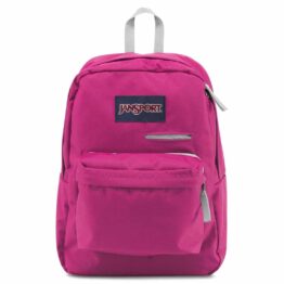 JanSport Digibreak Cyber Pink Backpack
