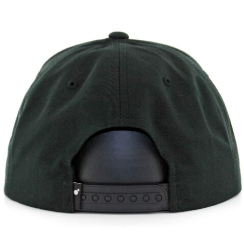 The Hundreds Script FA16 Black Snapback Hat