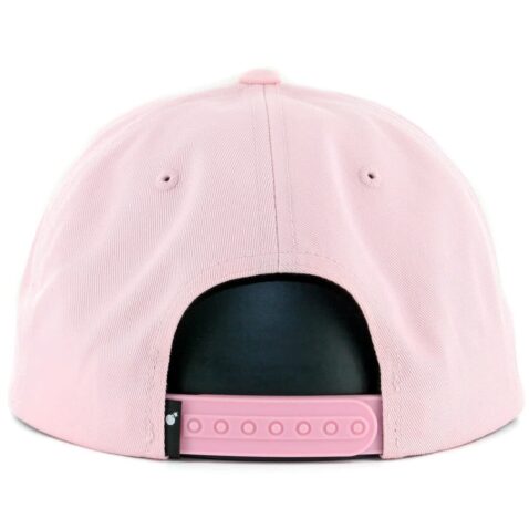 The Hundreds Script FA16 Pink Snapback Hat
