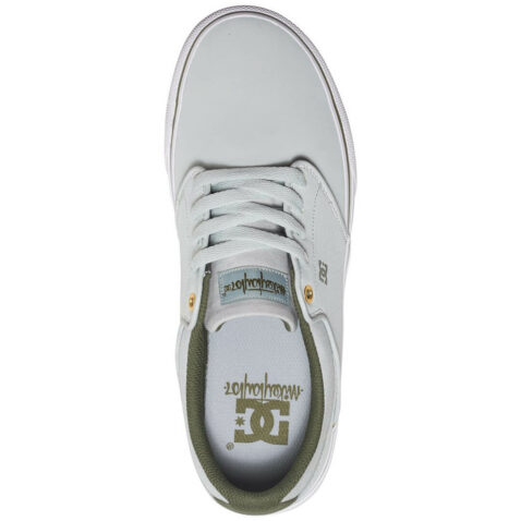 DC Shoes Mikey Taylor Vulc Shoe Grey White Green