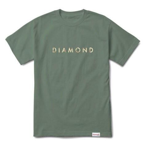 Diamond Supply Co Desert T-Shirt Cactus