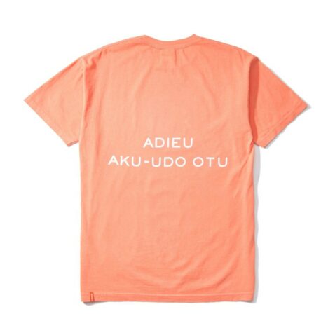 The Hundreds x Anwar Carrots Anwar Wildfire T-Shirt Salmon