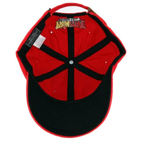 Primitive x Dragon Ball Z Symbol Strapback Dad Hat Red - Image 3