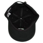 The Hundreds x Marvin The Martian Head Dad Hat-Inside