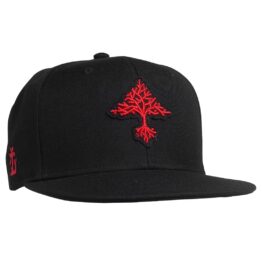 LRG Grow Trees Snapback Hat