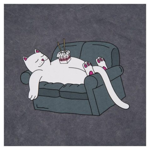 Rip N Dip Noodles T-Shirt Grey Mineral - Image 2
