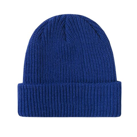 Hundreds Crisp 2 P21 Beanie Blue Back