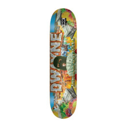 DGK Ghetto Fab Fagundes Deck Multi