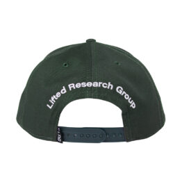 LRG Stacked Logo Snapback Hat Dark Green