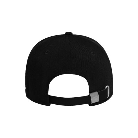 Paper Planes Icon II Dad Hat Black Rear