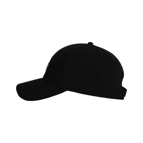 Paper Planes Icon II Dad Hat Black Side