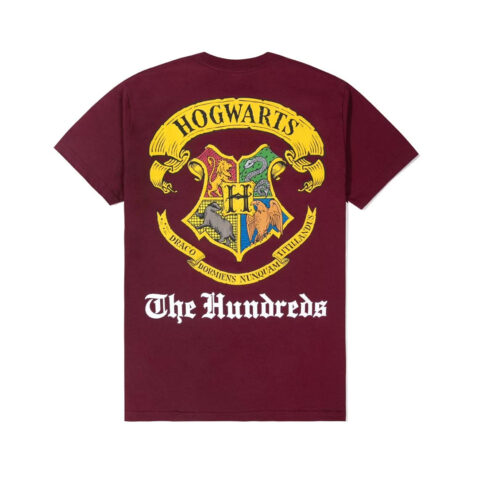 The Hundreds Hogwarts T-Shirt Burgundy Rear