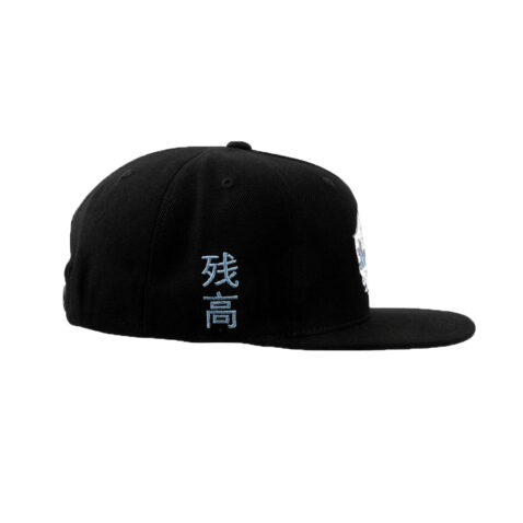 DGK Breaker Snapback Hat Black Side (2)