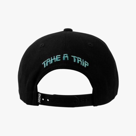 DGK Abduction Snapback Hat Black Back