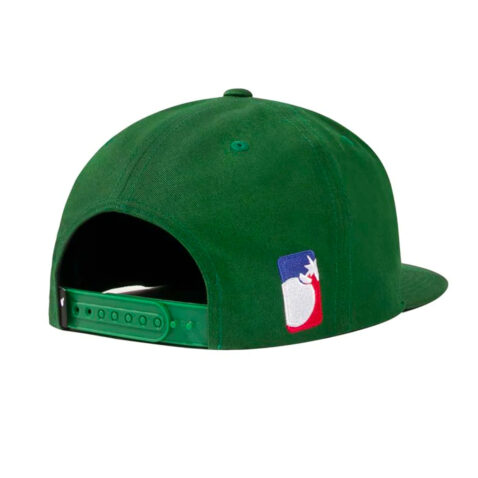 Hundreds Relocated Snapback Hat Forest Back