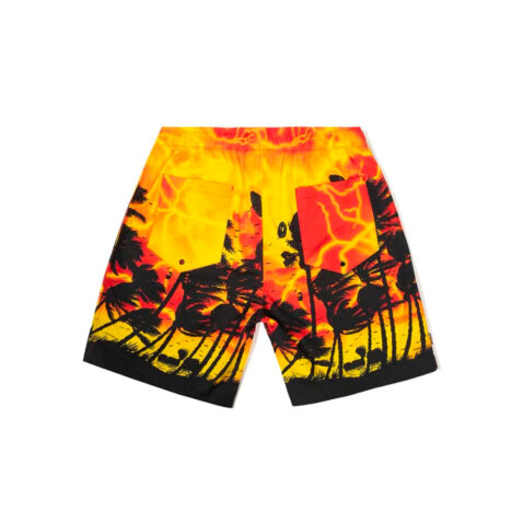 The Hundreds Beach Shorts Orange Back