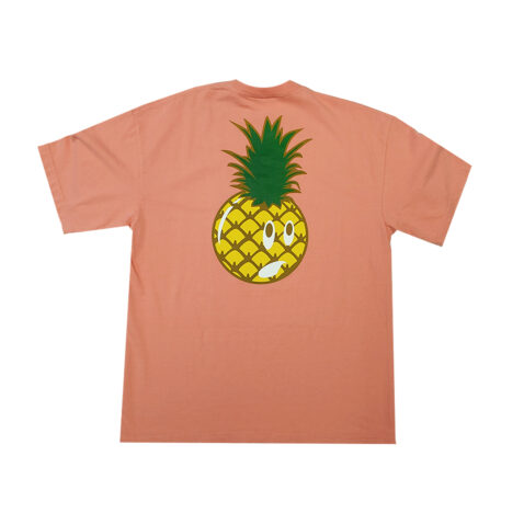 The Hundreds Pineapple Adam Short Sleeve T-Shirt Coral Back