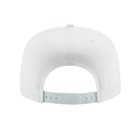 Paper Planes The Hydro Plane Crown Snapback Hat White Back
