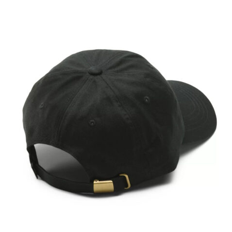 Vans Camburn Curved Bill Jockey Snapback Hat Black back