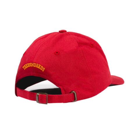 The Hundreds Solid Bomb Dad Hat Burgundy Back