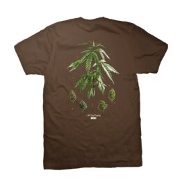 DGK Botanical Society Short Sleeve T-Shirt Dark Chocolate