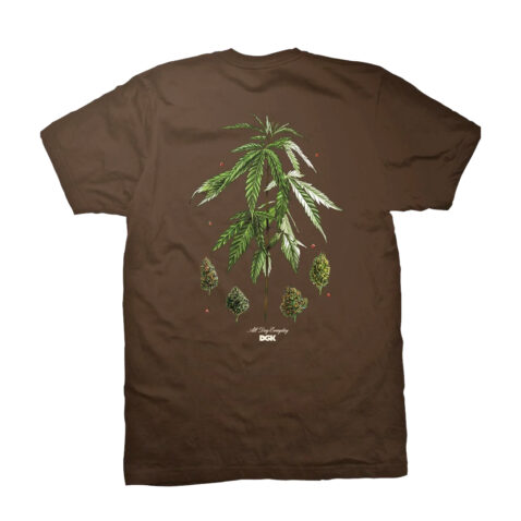 DGK Botanical Society Short Sleeve T-Shirt Dark Chocolate back