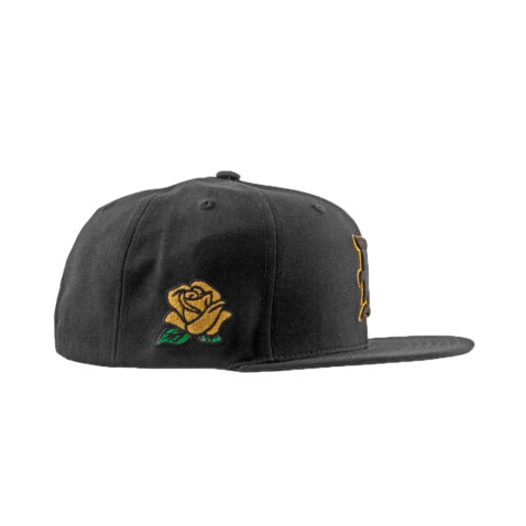 DGK Sure Shot Snapback Hat Black Right