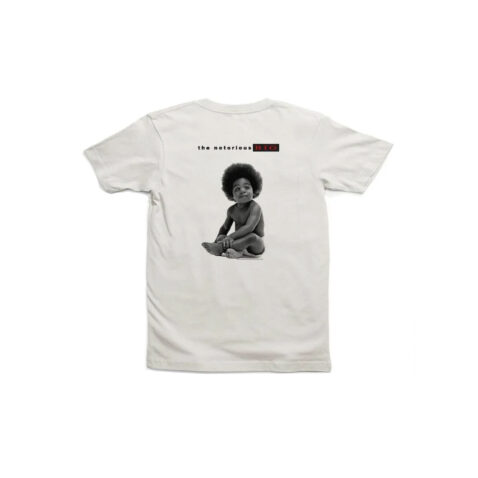 Stance Biggie Short Sleeve T-Shirt White Back