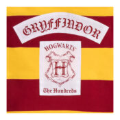 The Hundreds House Rugby Burgundy Close Up