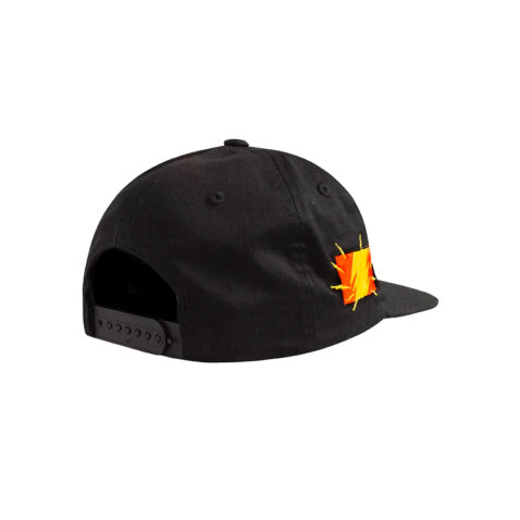 The Hundreds Flash Taz Snapback Hat Black back