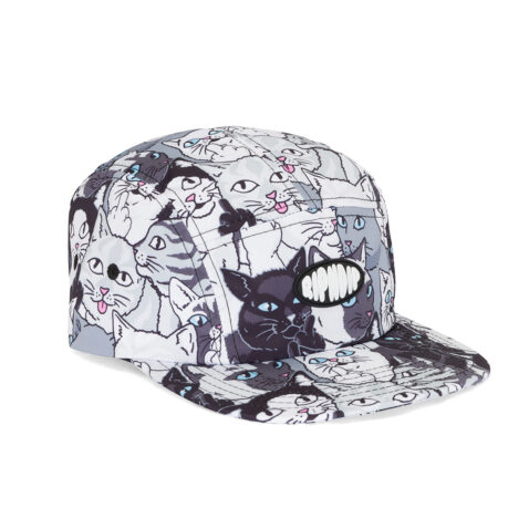 Rip N Dip Family Tree Camper Snapback Hat Multi