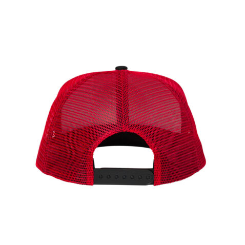 Santa Cruz Classic Dot Trucker Snapback Hat Red White Black Back