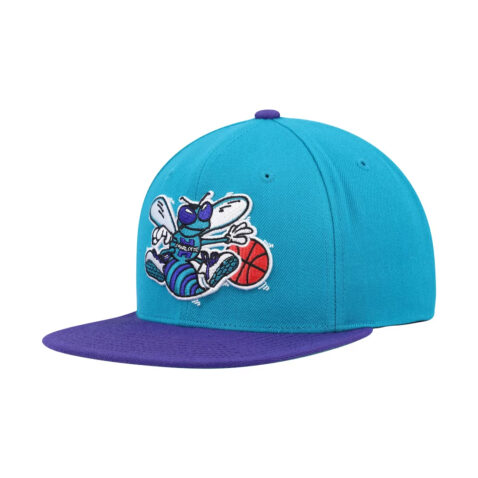 Mitchell & Ness Charlotte Hornets 2 Tone 2.0 Snapback Hat Dark Teal Purple Left Front