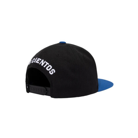 The Hundreds Por La Vida Snapback Hat Black Back