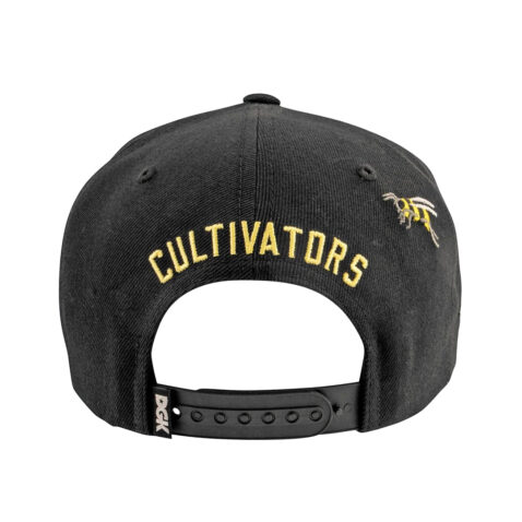 DGK Cultivators Snapback Hat Black Back