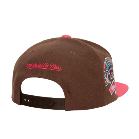 Mitchell & Ness Los Angeles Dodgers The Damn Snapback Hat Brown Back