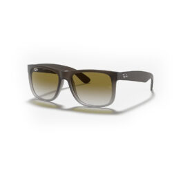 Ray-Ban Justin Classic Rubber Brown on Grey