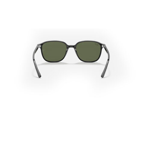 Ray-Ban Leonard Black Green Classic Inside