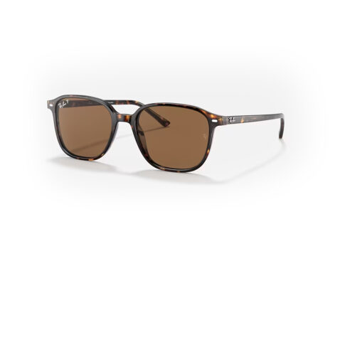 Ray-Ban Leonard Tortoise Polarized Brown