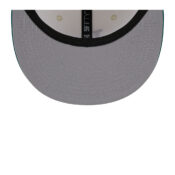 camp-visor-2.jpg