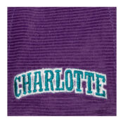 Mitchell-Ness-Charlotte-Hornets-All-Directions-Adjustable-Snapback-Hat-Purple-logo.jpg