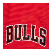 Mitchell-Ness-Chicago-Bulls-All-Directions-Adjustable-Snapback-Hat-Red-logo.jpg