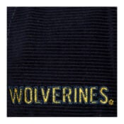 Mitchell-Ness-University-of-Michigan-Wolverines-All-Directions-Adjustable-Snapback-Hat-Navy-Blue-logo-close-up.jpg