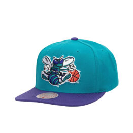 Mitchell & Ness Charlotte Hornets Team Two Tone 2.0 Stretch Adjustable Snapback Hat Teal Purple