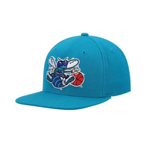 Mitchell & Ness Charlotte Hornets Team Ground 2.0 Stretch Adjustable Snapback Hat Teal