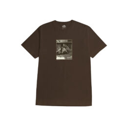 Primitive x Bob Marley Console Short Sleeve T-Shirt Brown